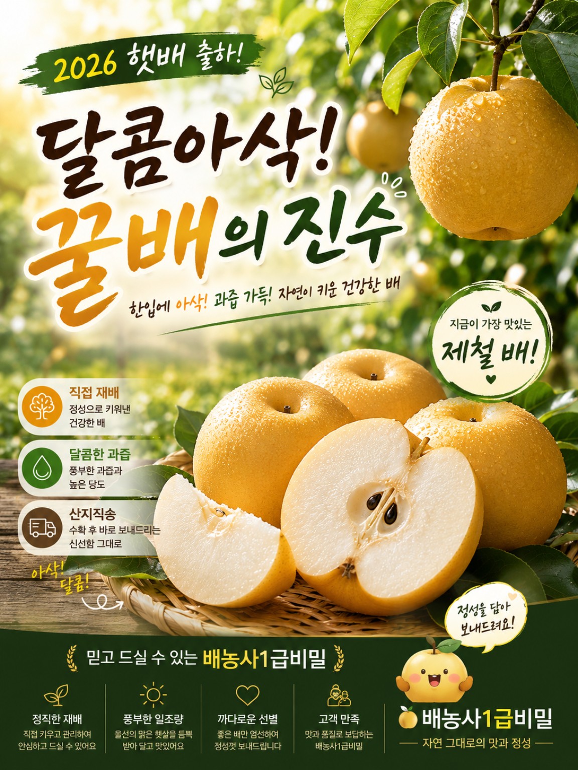 2026 햇배 출하와 달콤아삭한 배의 맛, 과수원 이야기를 표현한 배농사1급비밀 브랜드 포스터